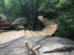 -大岭沟猕猴桃谷风景区
