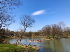 -西溪国家湿地公园