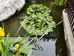 -聚缘堂·海鲜私房菜(松岭路店)