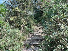 -杭州半山国家森林公园