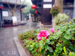 平乐古镇-平乐古镇