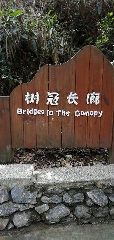 -南丹山森林王国