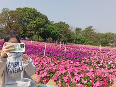 -松山湖南湖湾露营营地