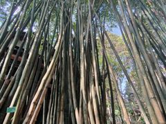 -成都杜甫草堂博物馆