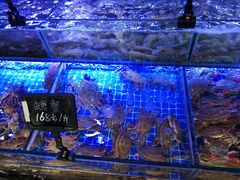 -渔民船说·北塘海鲜·天津菜·海肠捞饭(北塘古镇店)