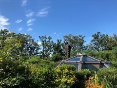 -三鹰之森吉卜力美术馆