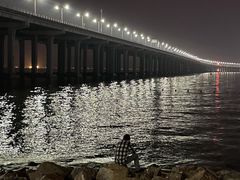 -宝安西湾红树林湿地公园