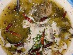 酸菜鱼-蝴蝶汇音乐酒馆(罗湖店)
