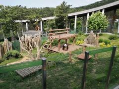 景点-大连森林动物园