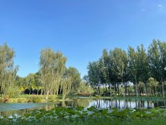 -东郊湿地公园