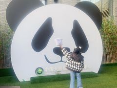 -都江堰中华大熊猫苑