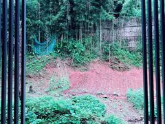 -乐领拈花溪·林涧食韵