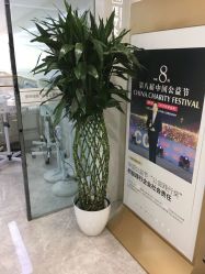 点击看大图 -悟空祛痘·诺奖技术专业店