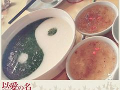 -素虎小呆鸟(西二旗店)