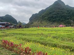 -靖西鹅泉风景区
