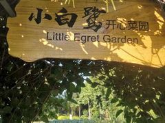 -厦门悦华酒店