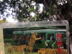 -深圳野生动物园
