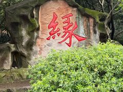 -杭州黄龙洞