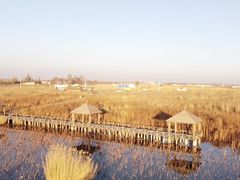 -哈素海