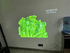 -XGIMI极米投影(壹方城店)
