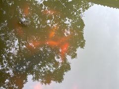-丝绸小镇荻港古村