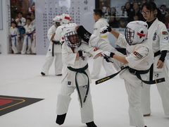 -极真空手道修远道场