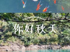-大奇山国家森林公园