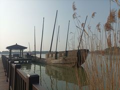 -苏州太湖国家湿地公园