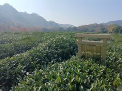 -中国茶叶博物馆(双峰馆区)