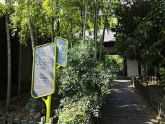 -树山生态村