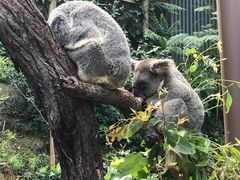 -热带雨林自然公园