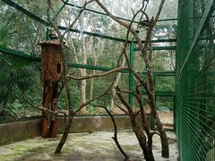 -海南热带野生动植物园