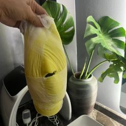 -悠禾·美甲美睫·皮肤管理