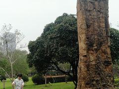 -汉水公园