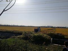 -梁鸿国家湿地公园
