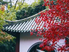 -中山公园