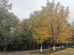 -灵谷景区