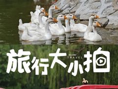 -南翠屏公园