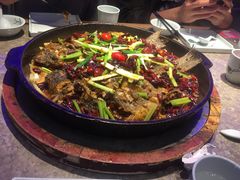 -老板恋上鱼(恒隆广场店)