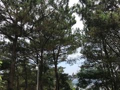 -白云山风景名胜区
