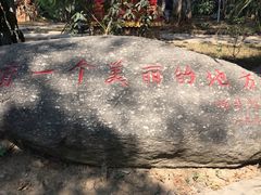 -瑞丽独树成林风景区