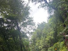 -炎帝陵景区