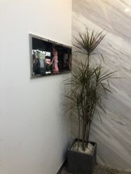 -Rise Hair上升造型