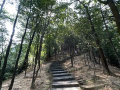 -火炉山森林公园