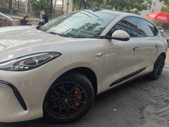 -车艺佳龙膜隐形车衣汽车贴膜(宝山丰宝店)