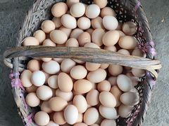 -马陆小张葡萄园农家乐