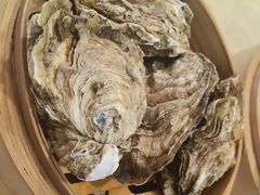 -杨氏青龙虾·羊蝎子(珠江路店)