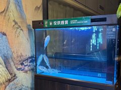 -肆月河豚·淮扬菜·湘菜(华天店)