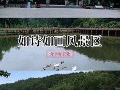 -神光山国家森林公园