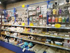 -Animate(工人体育场东路店)